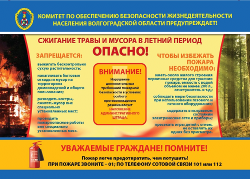 81890-14583138-14583303.jpg