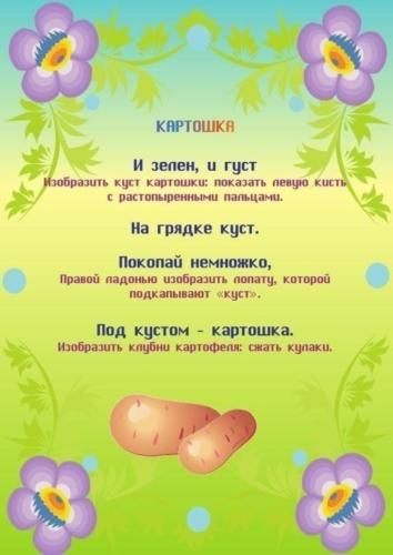 image (6)