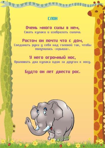 pal-chikovye-igry-na-temu-zoopark 2
