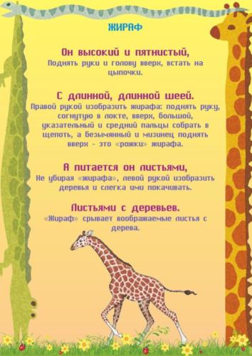 pal-chikovye-igry-na-temu-zoopark 3