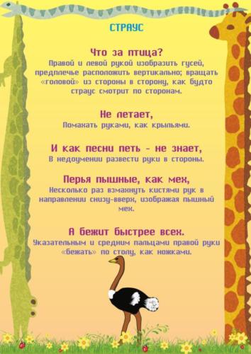 pal-chikovye-igry-na-temu-zoopark 6