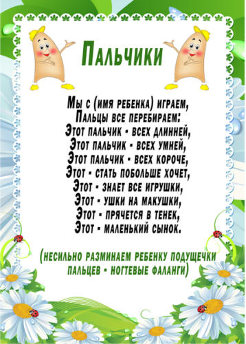 palchiki
