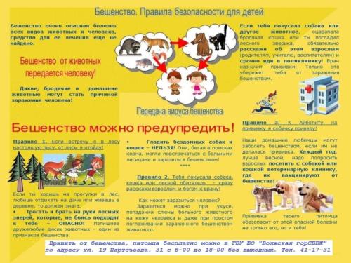 Бешенство.Профилактика