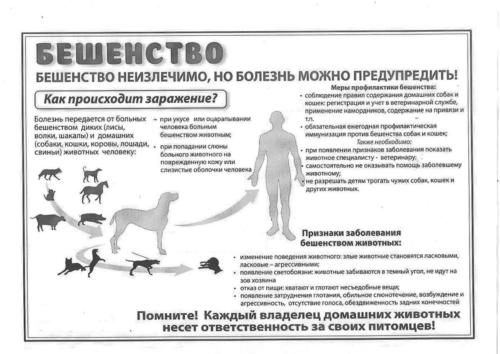 Бешенство.Профилактика 1.