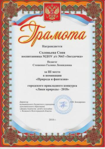 Лики-природы-Соловьева-Соня