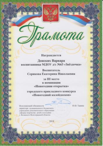 Новогодний-калейдоскоп-Донских