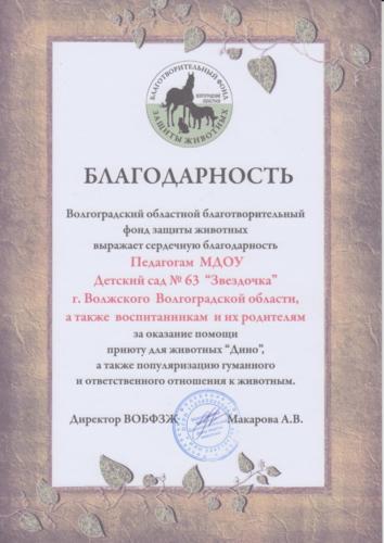 помощь-приюту